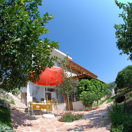 Natural Holiday Houses 卡萨米尔 外观 照片