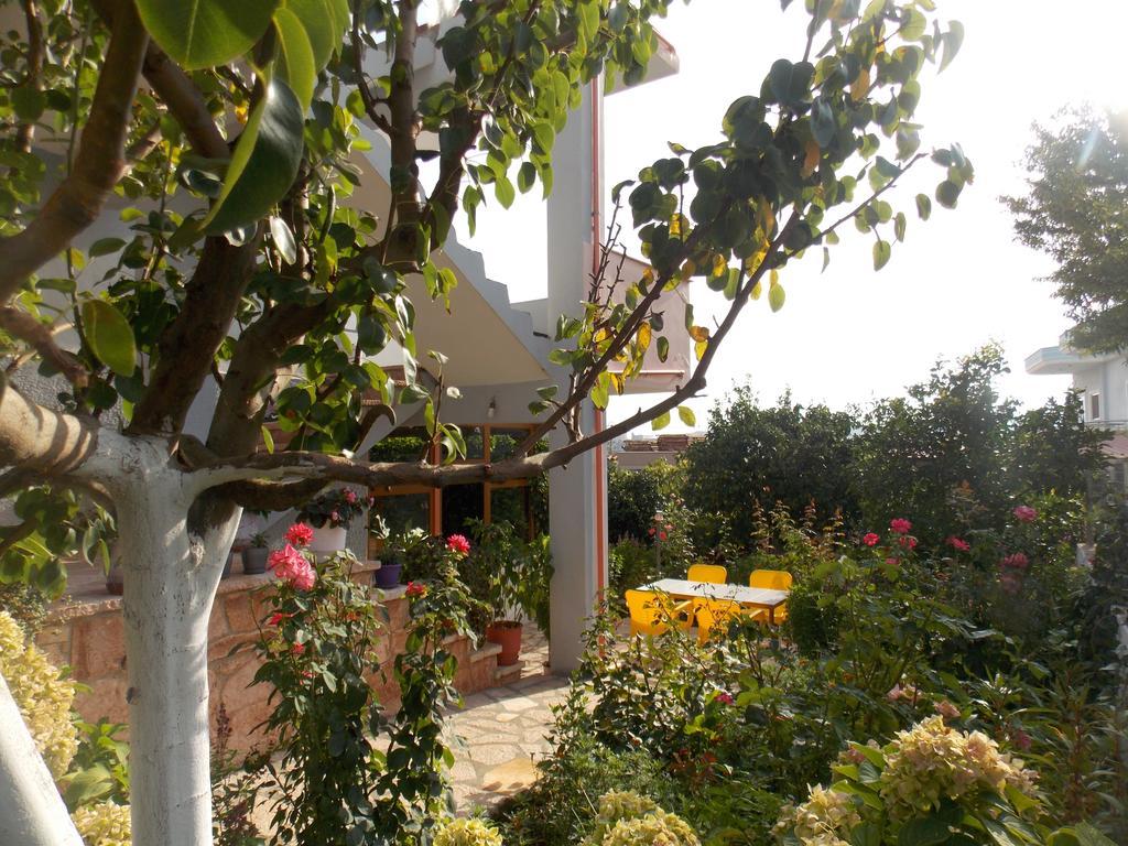 Natural Holiday Houses 卡萨米尔 外观 照片