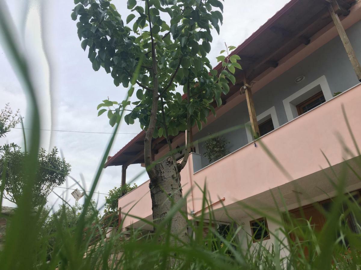 Natural Holiday Houses 卡萨米尔 外观 照片