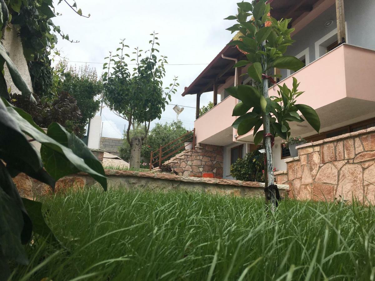 Natural Holiday Houses 卡萨米尔 外观 照片