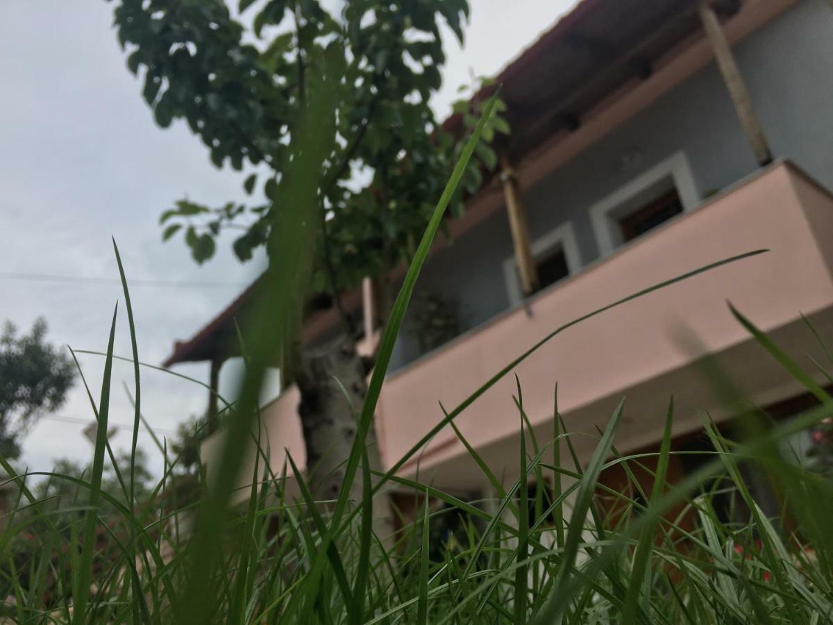 Natural Holiday Houses 卡萨米尔 外观 照片