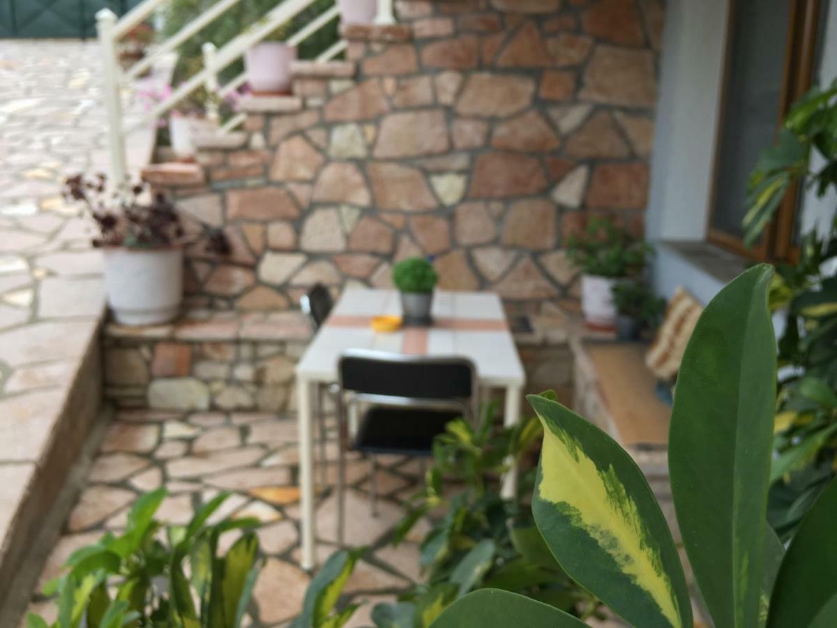 Natural Holiday Houses 卡萨米尔 外观 照片