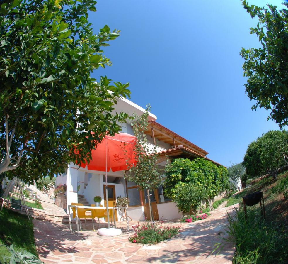 Natural Holiday Houses 卡萨米尔 外观 照片