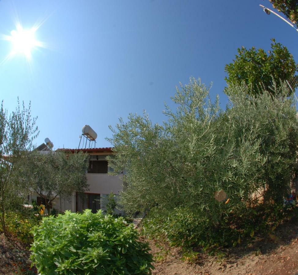 Natural Holiday Houses 卡萨米尔 外观 照片